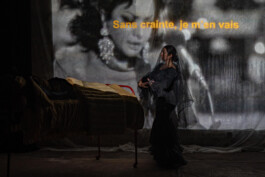 Compagnie Reina Gisèle